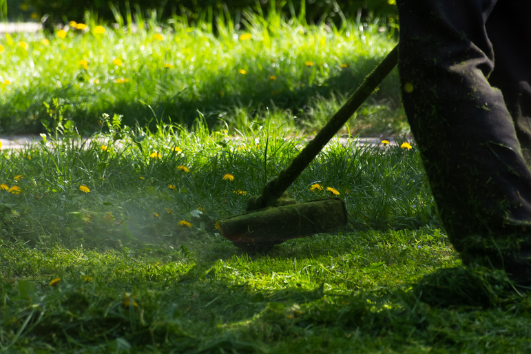 grass cutting on the lawn